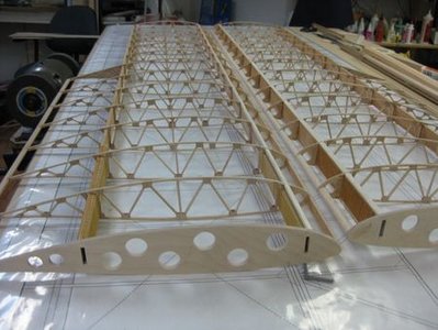 glider wing.jpg