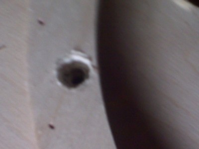 IMG00192-20100419-1156.jpg