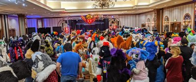 acfi-2019-group-photo-prep.jpg