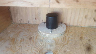 20200320_144805.jpg