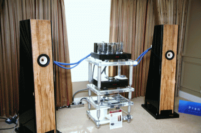 zzzzCES2009-619.gif