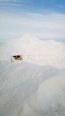 'Had to dig out the ranch before I could work on David. That's my mailbox at the road there. It's on a 40&quot; post.