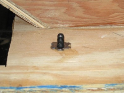 tnuts seated.jpg