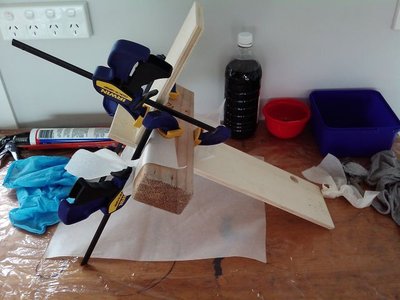 IMG_20120104_140854.jpg