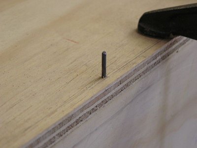 NAILS CUT AND TAPERED