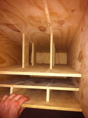 more dry fitting, I decided to continuous braces for the bottom most for ease and segmented braces for the mid and top I hope this is ok?