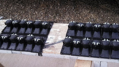 The piezos for number 5 and 6.