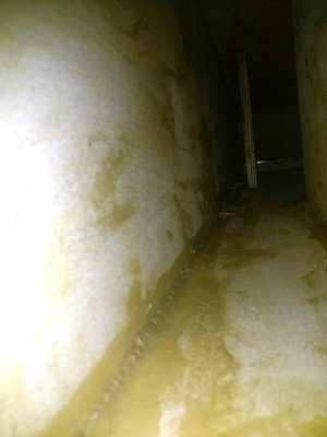 caulk2.jpg