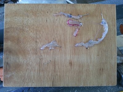 20130824_162755.jpg
