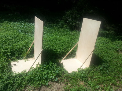 constructionbegins.jpg