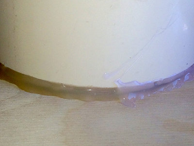 photo66.JPG
