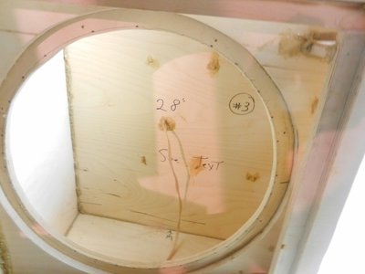 Speaker wire hole filled with PL (900x675).jpg